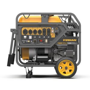 Firman P12002 Portable Generator, 50A, 120/240V, 15,000W Output, Gasoline, 13.3gal Tank, 11hr Run Time, Electric