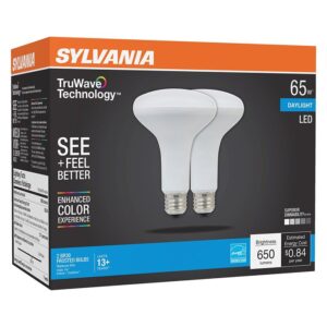 Sylvania 40730 Natural LED Bulb, Spotlight, BR30 Lamp, 65 W Equivalent, E26 Lamp Base, Dimmable, Frosted, Daylight Light