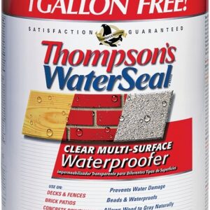 Thompson's WaterSeal TH.024106-06 Waterproofer, Clear, 6 gal, Can