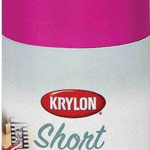 Krylon KSCS039 Craft Spray Paint, High-Gloss, Hot Pink, 3 oz, Can