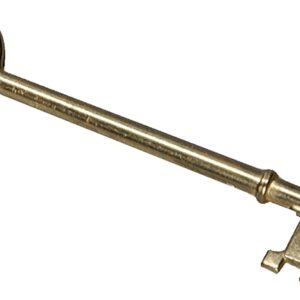 Hy-Ko KC200 Key Ring, 0.23 in L x 2-3/4 in W x 5-1/2 in H Dimensions, Brass