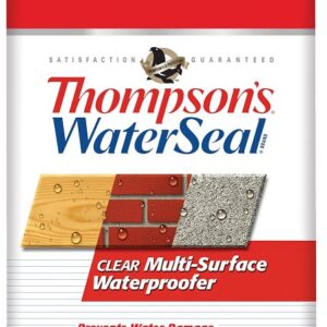 Thompson's WaterSeal TH.024111-03 Waterproofer, Clear, 1.2 gal, Can