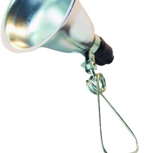 PowerZone ORCL060506B Clamp Light, Plug In Power Supplies, Clamp Lights Lamp, Silver