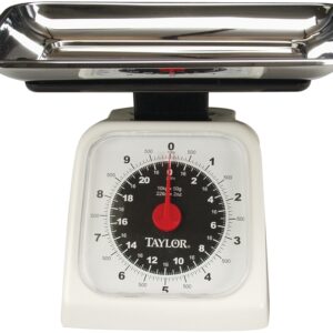 Taylor 3880 Kitchen Scale, 22 lb Capacity, Analog Display, Stainless Steel Platform, Styrene Housing Material, g, oz