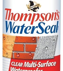 Thompson's WaterSeal TH.10100-18 Waterproofer, Clear, 12 oz, Aerosol Can
