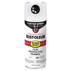 Rust-Oleum 376856 5-In-1 Enamel Paint, Flat, White, 12 oz, Aerosol Can