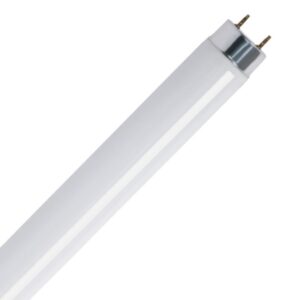 Feit Electric F32T8/941/2 Fluorescent Bulb, 32 W, T8 Lamp, Medium Bi-Pin G13 Lamp Base, 2600 Lumens, 4100 K Color Temp, 2Pack