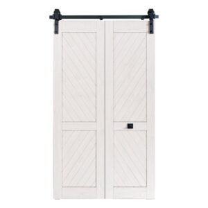 Renin BD954-07800-MB Bifold Barn Door Hardware Kit, 78 in L Track, Steel, Matte