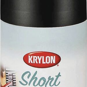 Krylon KSCS054 Craft Spray Paint, High-Gloss, Black, 3 oz, Can