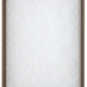 AAF 112201 Air Filter, 20 in L, 12 in W, Chipboard Frame