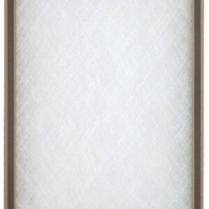 AAF 118181 Air Filter, 18 in L, 18 in W