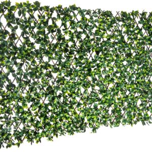 naturae decor TRD3672-4000 Expandable Willow Trellis, 36 in W, 72 in H, Polyethylene, Brown