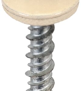 Acorn International SW-MW15LS250 Screw, #9 Thread, Light Stone, Hex Drive, Self-Tapping, Type 17 Point, 250/BAG