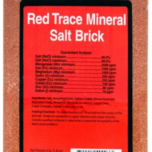 Roto Salt Champion's Choice 110004997 Trace Mineral Salt Brick, 4 lb