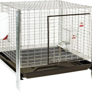 Pet Lodge RHCK1 Rabbit Hutch Kit, 24 in W, 24 in D, 16 in H, Steel, Galvanized