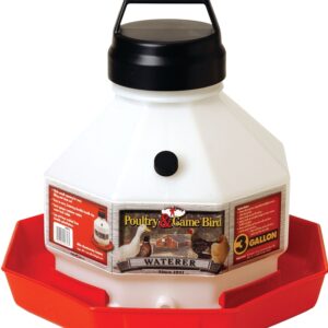 Little Giant PPF3 Poultry Waterer, 3 gal Capacity, Plastic