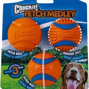 Chuckit! 47089 Dog Toy, Fetch, M, Ball, Orange