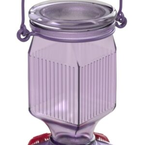 Perky-Pet 9101-2 Bird Feeder, Top-Fill, 16 oz, Nectar, 5-Port/Perch, Glass/Plastic, Lavender, 7-3/4 in H