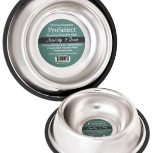 HiLo ZW142 96/57696 Pet Feeding Dish, L, 96 oz Volume, Stainless Steel, Gold