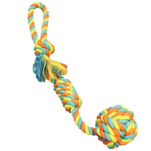 Chomper WB15513 Dog Toy