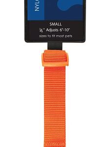 Casual Canine ZM2391 14 69 Dog Collar, Buckle Link, 14 to 20 in L, 5/8 in W, Nylon, Orange