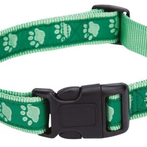 Casual Canine ZA8871 14 43 Dog Collar, 14 to 20 in L Collar, 5/8 in W Collar, Nylon, Green