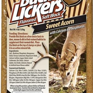 Evolved Habitats Buck Lickers EVO14098 Mineral Block, Acorn Flavor, 4 lb