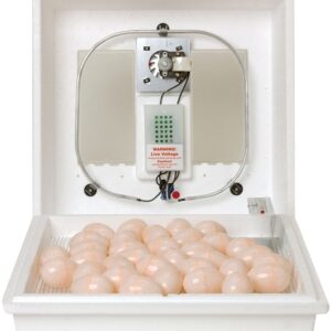 Little Giant 10300 Egg Incubator, 41 Large Chicken Eggs Egg, 99.5 deg F, Styrofoam