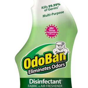 Odoban 910061-Q6 Ready-to-Use Disinfectant, 32 oz Trigger Sprayer, Liquid, Eucalyptus, Floral Alcohol