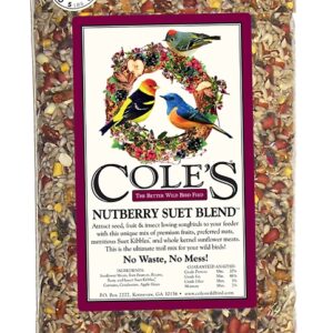 Cole's Nutberry Suet Blend NB10 Blended Bird Seed, 10 lb Bag