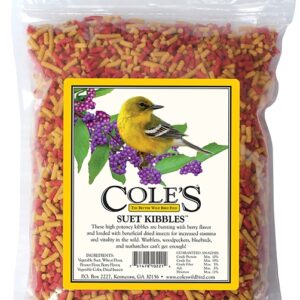 Cole's Suet Kibbles SKSU Bird Food, Berry Flavor, 17.6 oz Bag