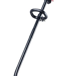 Troy-Bilt 41AD25CB966 String Trimmer, 10 oz Fuel Tank, Gasoline, 25 cc Engine Displacement, 2-Cycle Engine
