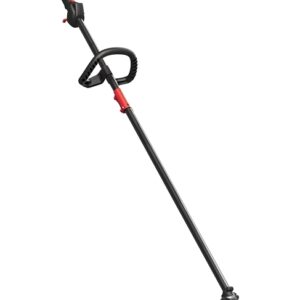 Troy-Bilt 41BD25PS766 Pole Saw, 8 in Blade