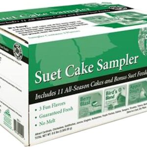 Heath SCS-1 Suet Cake Sampler Pack with Cage, Apple Dough, Berry Blast, Bird's Blend, 11 Pack