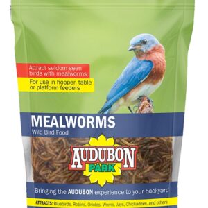 Audubon Park 12816 Mealworms, 8 oz