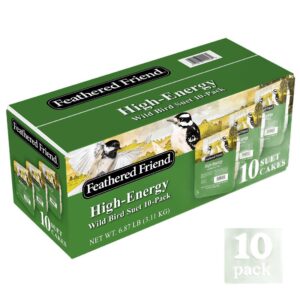 Audubon Park 13882 High Energy Suet, 11 oz, 10 Pack