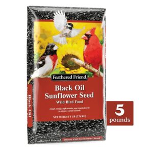 Feathered Friend 14416 Black Oil Sunflower Seed, 5 lb Bag