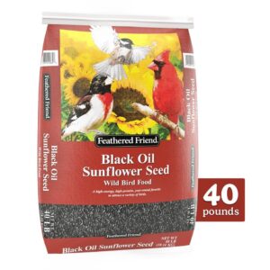 Feathered Friend 14422 Black Oil Sunflower Seed, 40 lb Bag