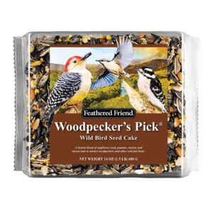 Audubon Park 14356 Woodpecker Seed Cake, 2 lb Bag