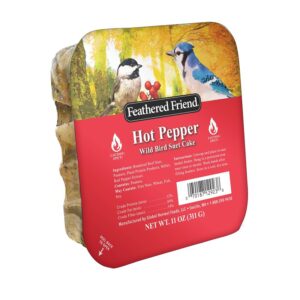 Feathered Friend 14377 Wild Bird Food, Suet, Hot Pepper, 11 oz