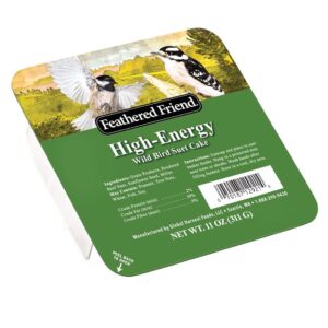 Audubon Park 13065 High Energy Suet, 11 oz