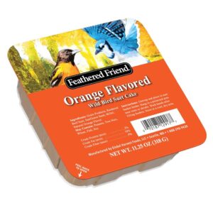 Audubon Park 13768 Orange Flavored Suet, 11.25 oz