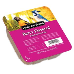 Audubon Park 13066 Berry Treat Suet 11.7 5oz
