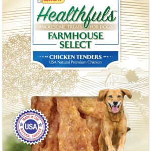 Ruffin'It 08503 Dog Treat, 4 oz, Chicken