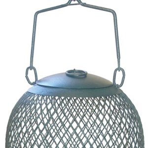 Perky-Pet NO/NO GSB00344 Wild Bird Feeder, 1.12 lb, Metal, Green, 5.7 in H