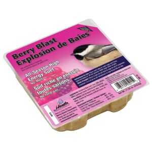 Heath DD-15 Suet Cake, All-Season, Berry, 11.25 oz