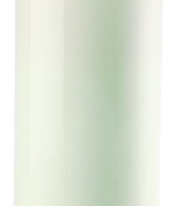 Worthington 282154/304623 Propane Gas Cylinder, 100 lb Tank, Steel