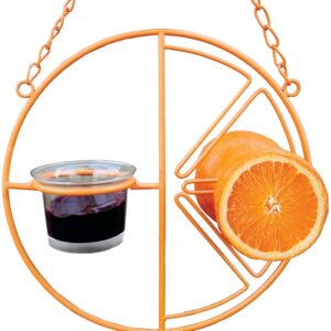 Heath CF-133 Clementine Bird Feeder, 2 oz, Steel, Orange