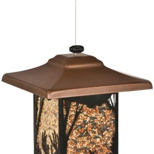 Perky-Pet 8504-2 Wild Bird Feeder, Wilderness Lantern, 2 lb, Metal