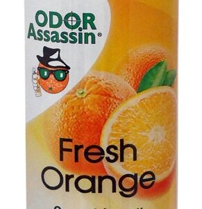 Odor Assasin 124947 Odor Eliminator, 6 oz Can, Pale Yellow